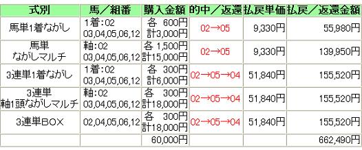 20110105KyotoKinpai6.JPG