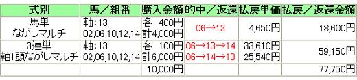 20140316NakayamaHinbaS3.JPG